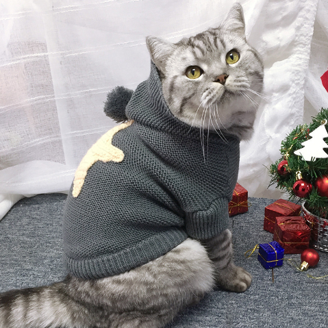 Star Winter Sweater for Cats