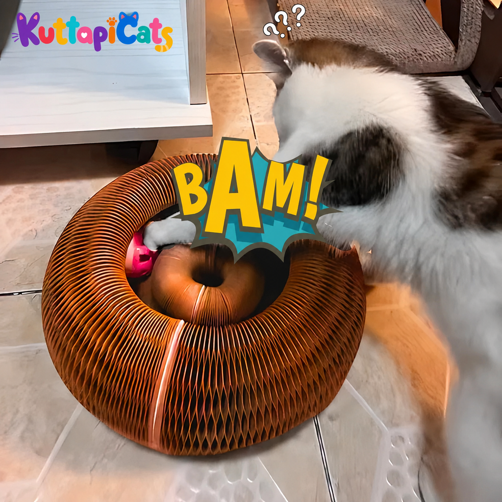 Cat Kurlz