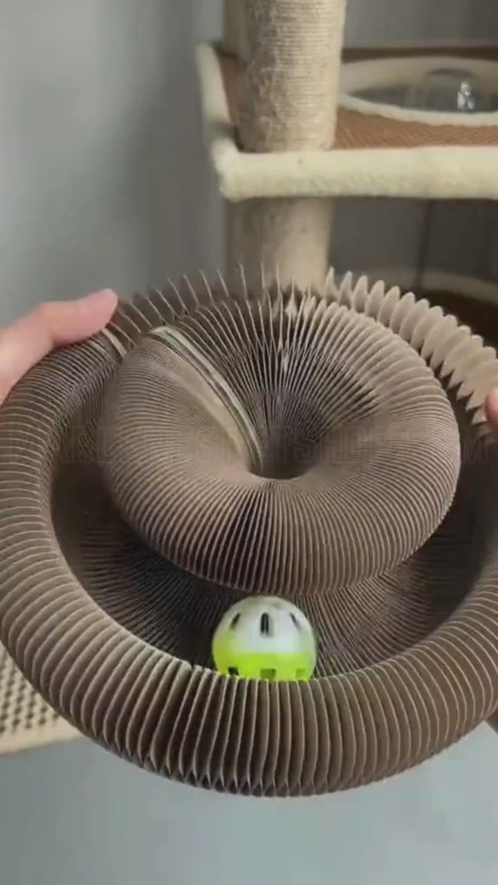 Cat Kurlz