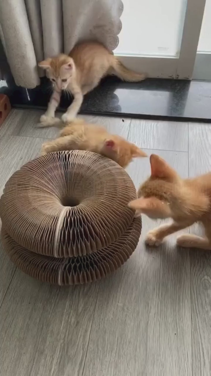 Cat Kurlz