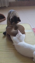 Cat Kurlz