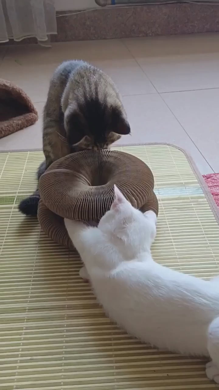 Cat Kurlz