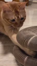 Cat Kurlz