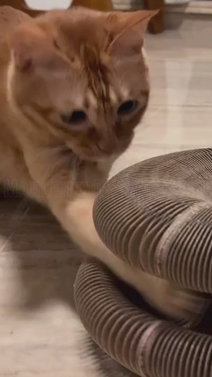 Cat Kurlz